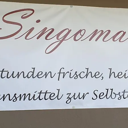 Singer *